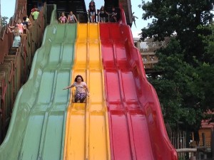 IMG_0856