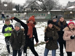 IMG_6197