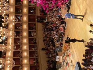 IMG_8960